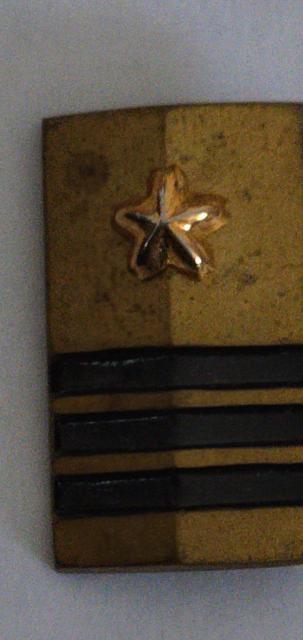 ���㎩�q���@�K���́@�o�b�`�T�Z�b�g �� �z�r�[�� 