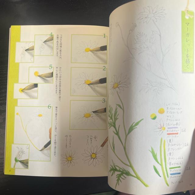 Ԃ̃pbg : lG̃XPb`ubN  {/G 