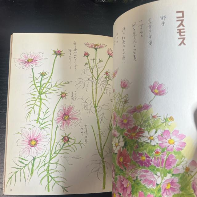 Ԃ̃pbg : lG̃XPb`ubN  {/G 