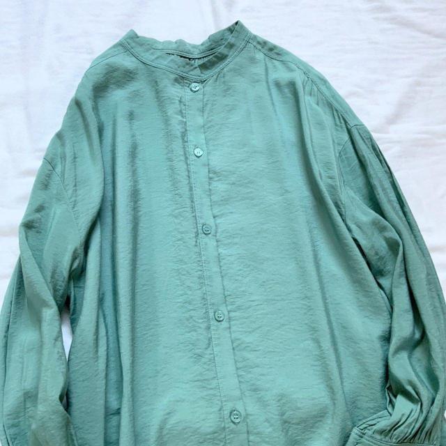 LEPSIM���c�C���M���U�[�u���E�X