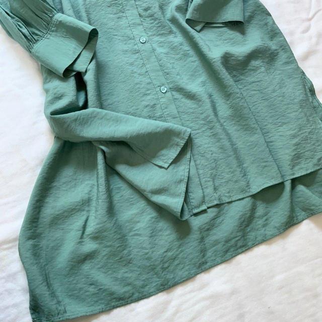 LEPSIM���c�C���M���U�[�u���E�X