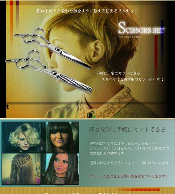 T~ XLoT~ 2{Zbg P[Xt     wX/r[eB[ 