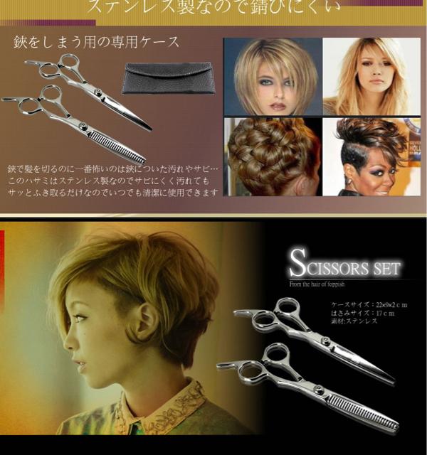 T~ XLoT~ 2{Zbg P[Xt     wX/r[eB[ 