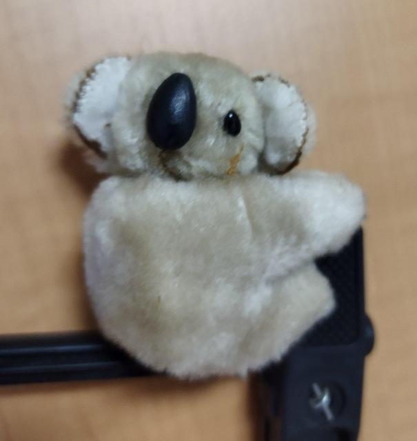 コアラぬい くっつく 手のひらサイズ ミニぬいぐるみ 難有り オーストラリア製 < おもちゃ  コアラぬい くっつく 手のひらサイズ ミニぬいぐるみ 難有り オーストラリア製  < おもちゃの