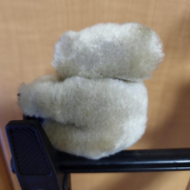 コアラぬい くっつく 手のひらサイズ ミニぬいぐるみ 難有り オーストラリア製 < おもちゃ  コアラぬい くっつく 手のひらサイズ ミニぬいぐるみ 難有り オーストラリア製 < おもちゃの