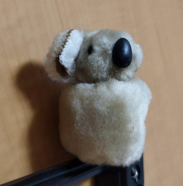 コアラぬい くっつく 手のひらサイズ ミニぬいぐるみ 難有り オーストラリア製 < おもちゃ  コアラぬい くっつく 手のひらサイズ ミニぬいぐるみ 難有り オーストラリア製 < おもちゃの