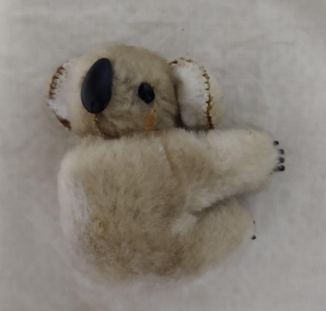 コアラぬい くっつく 手のひらサイズ ミニぬいぐるみ 難有り オーストラリア製 < おもちゃ  コアラぬい くっつく 手のひらサイズ ミニぬいぐるみ 難有り オーストラリア製 < おもちゃの
