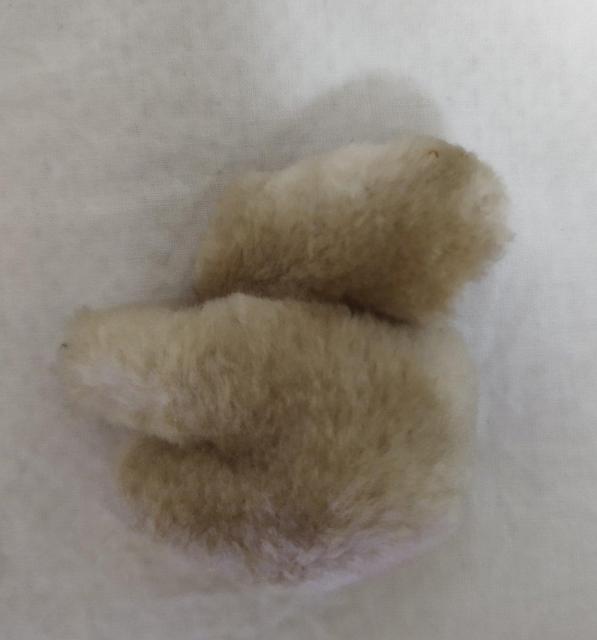 コアラぬい くっつく 手のひらサイズ ミニぬいぐるみ 難有り オーストラリア製 < おもちゃ  コアラぬい くっつく 手のひらサイズ ミニぬいぐるみ 難有り オーストラリア製 < おもちゃの