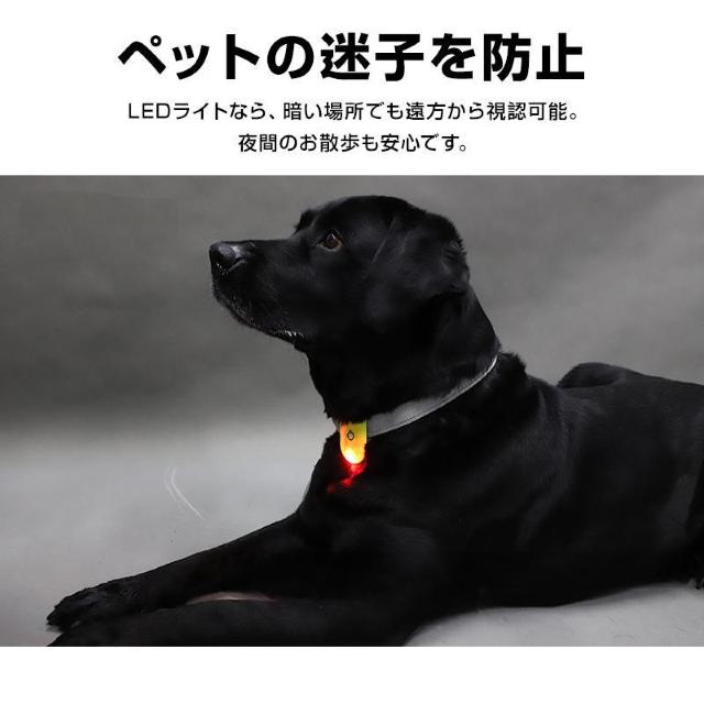 ランニングライト 2個 夜間 安全 ウォーキングライト ウォーカーマーカー 防水 LED 反射 光る 小型 軽量 クリップ マグネ < インテリア/ライフ  ランニングライト 2個 夜間 安全 ウォーキングライト ウォーカーマーカー 防水 LED 反射 光る 小型 軽量 クリップ マグネ < インテリア/ライフの