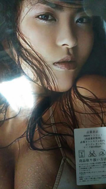 ☆☆☆根本はるみ ☆抱き枕カバーB 新品 送料無料 < タレントグッズ ☆☆☆根本はるみ ☆抱き枕カバーB 新品 送料無料 < タレントグッズの