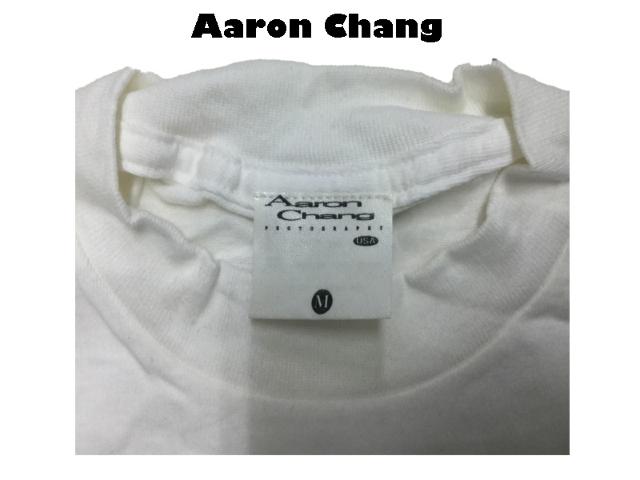 Vi@ Aaron Chang 90 IhXN[ OT M  jt@bV 