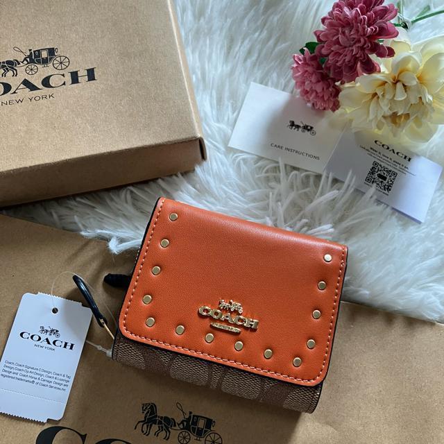 R[` COACHVOl`[ X^bY J[ubN R܂z AEgbg 