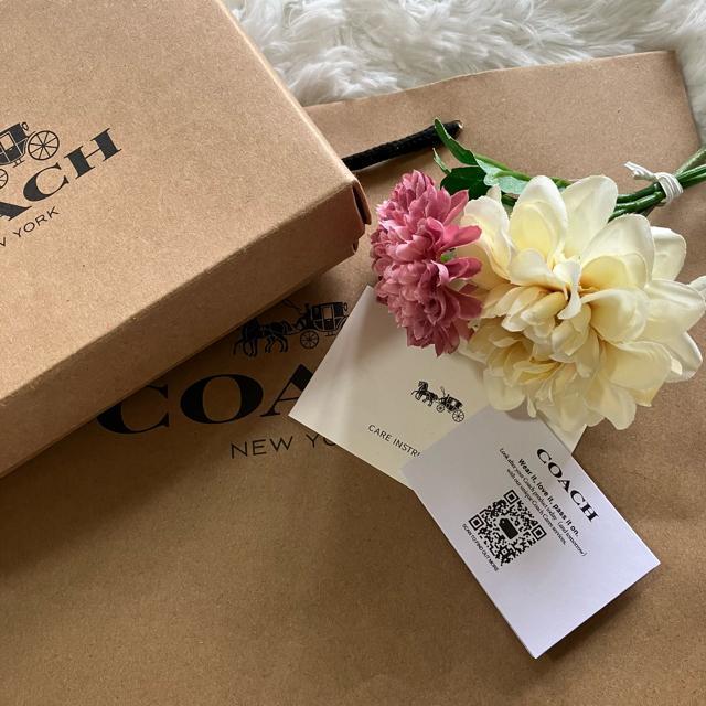 R[` COACHVOl`[ X^bY J[ubN R܂z AEgbg