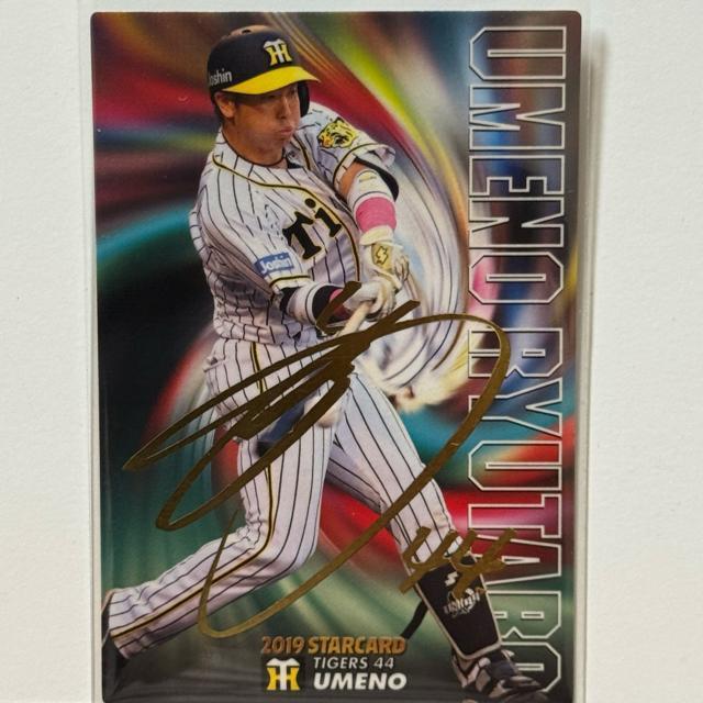 yTCJ[h70z ~엲Y 1stTC v싅`bvX 2019   g[fBOJ[h 