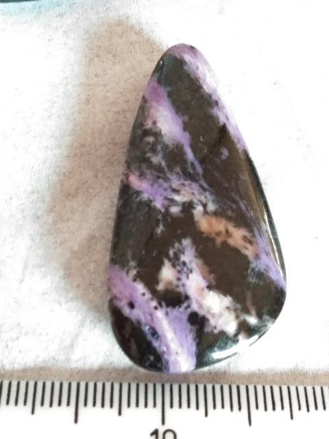 �V�R�΃Z�b�g �� �z�r�[�� 