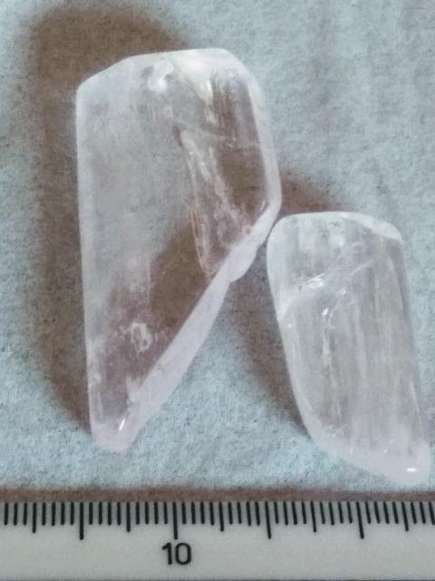 �V�R�΃Z�b�g �� �z�r�[�� 