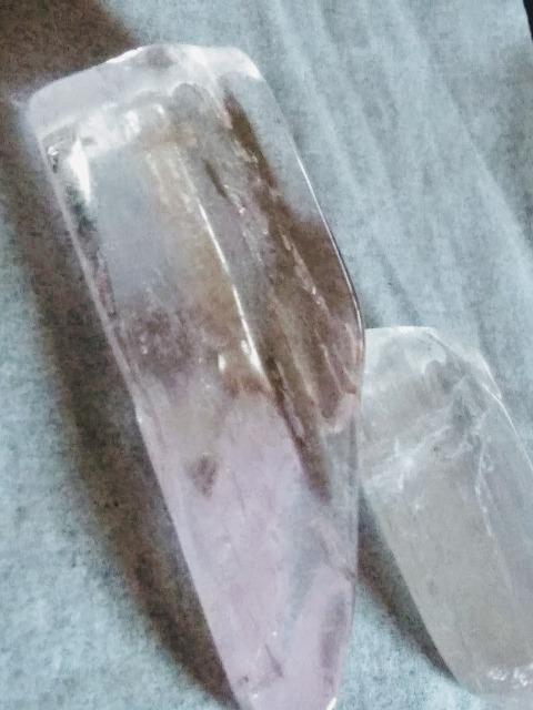 �V�R�΃Z�b�g �� �z�r�[�� 