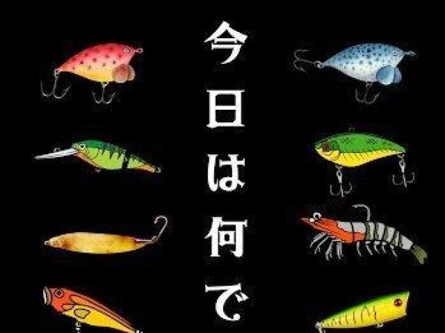 nCNIeB[ TVcނ@AO[@A[  jt@bV 