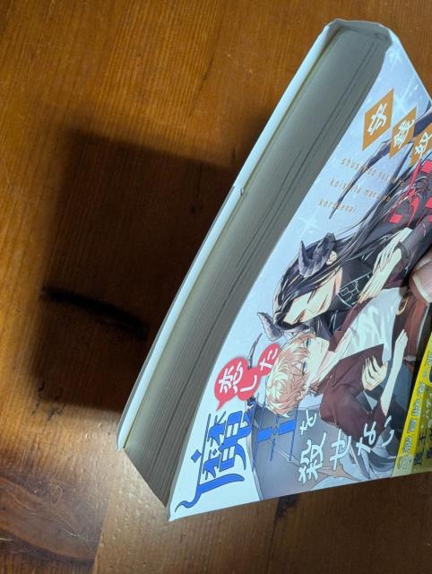 小説 BL 3月刊 守銭奴勇者は恋した魔王を殺せない 桃瀬わさび < 本/雑誌 小説 BL 3月刊 守銭奴勇者は恋した魔王を殺せない 桃瀬わさび < 本/雑誌の
