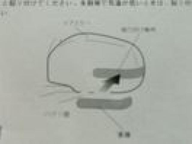 4色より選択★ドアミラープロテクターミラーウィンカー風 < 自動車/バイク 4色より選択★ドアミラープロテクターミラーウィンカー風 < 自動車/バイク