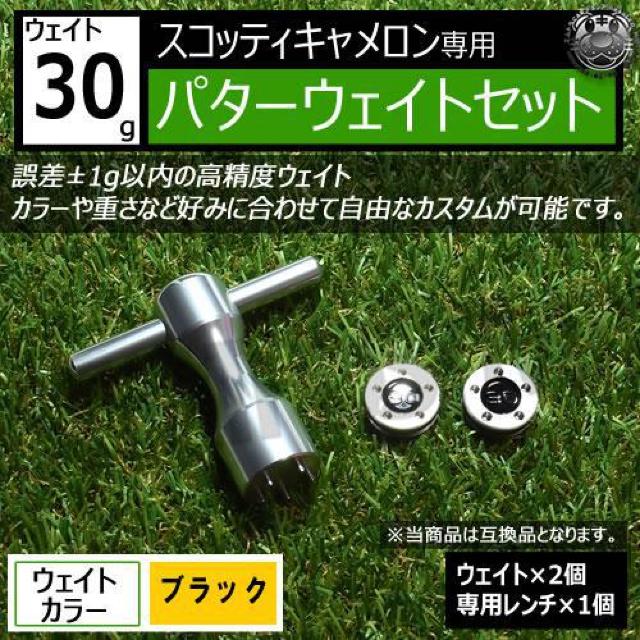 LEDz݊i XRbeBLp p^[EFCgZbg `t ubN30g 2   W[/X|[c 