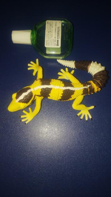 ★ヤモリ★組立式 < ホビー ★ヤモリ★組立式 < ホビーの