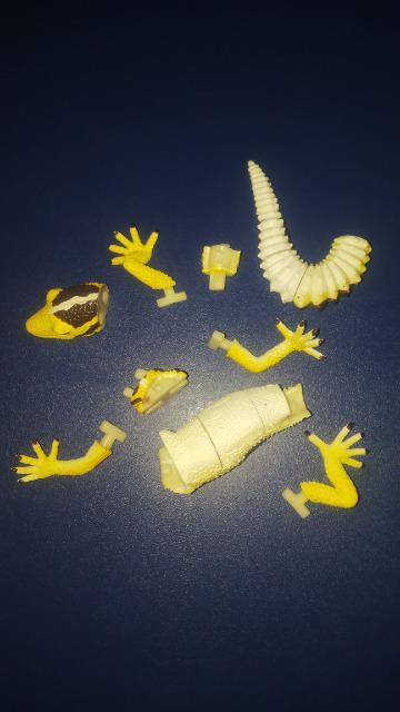 ★ヤモリ★組立式 < ホビー ★ヤモリ★組立式 < ホビーの