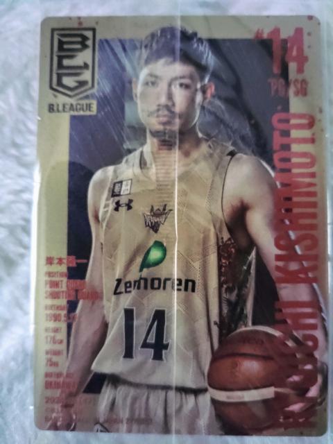 BLeagueEGn[X  14 ݖ{  g[fBOJ[h 