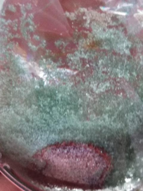 O[K[fNH[c@y_ggbv  jANZT[/v 