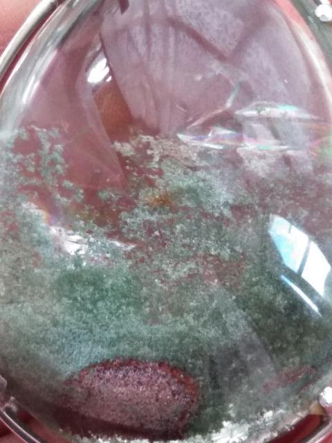 O[K[fNH[c@y_ggbv  jANZT[/v 