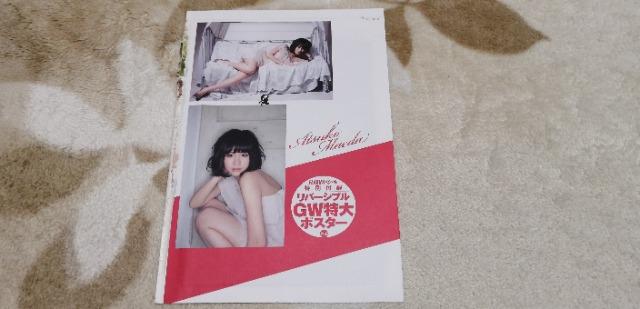 FLASHXyV2012N5.31ʕt^o[Vu|X^[Oc֎qI  ^gObY 