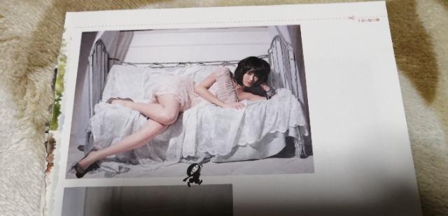 FLASHXyV2012N5.31ʕt^o[Vu|X^[Oc֎qI  ^gObY 