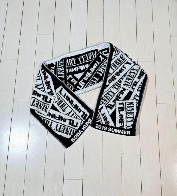 (2) ���c�Җ� �}�t���[�^�I�� a-nation 2019  �� �^�����g�O�b�Y�� 