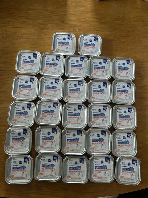 forza10 アクティブウェット 27個 犬 腎臓 < ペット/手芸/園芸 forza10 アクティブウェット 27個 犬 腎臓 < ペット/手芸/園芸の