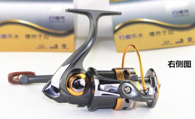 Vi tBbVOXsjO[  DK5000  ubN  W[/X|[c 