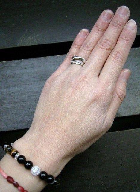 IjLX^CK[ACNbNuXbg@VR΁@p[Xg[  ANZT[/v 