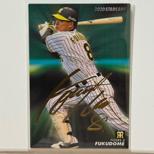 yTCJ[h71z F v싅`bvX 2020 _^CK[X   g[fBOJ[h 