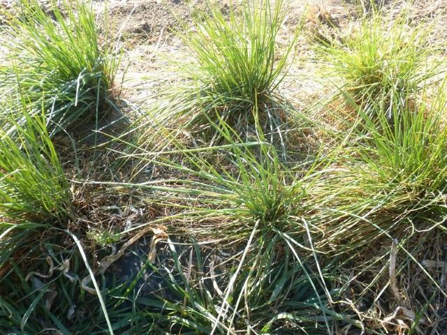 ���c���������������c40�������G�V�����b�g  �� �y�b�g/��|/���|�� 