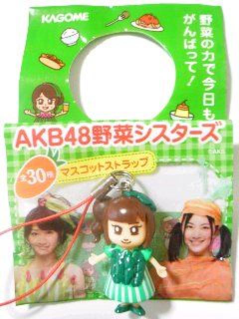 sNewtKAGOME*؃VX^[YAKB48ymGTzP[Xgbv  ^gObY 