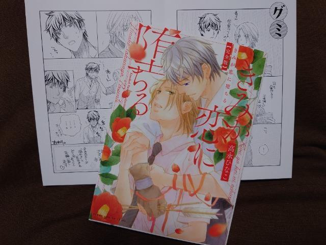 BL*リーフレット付【完全版 きみが恋に堕ちる】高永ひなこ < アニメ/コミック/キャラクター BL*リーフレット付【完全版 きみが恋に堕ちる】高永ひなこ < アニメ/コミック/キャラクターの