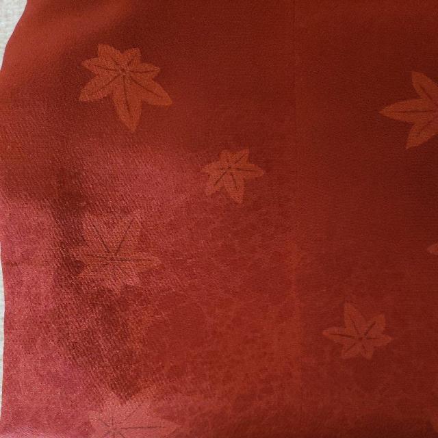 �������� ���� �� �����t�@�b�V������ 