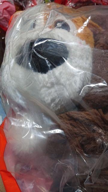 oessELN^[ʂ݁EQZbg    