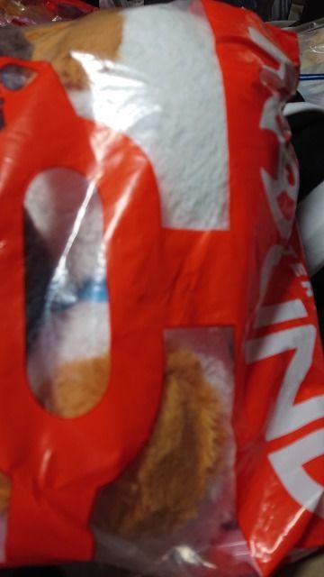 oessELN^[ʂ݁EQZbg   