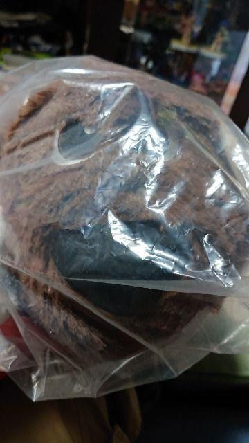 oessELN^[ʂ݁EQZbg   