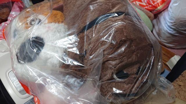 oessELN^[ʂ݁EQZbg   