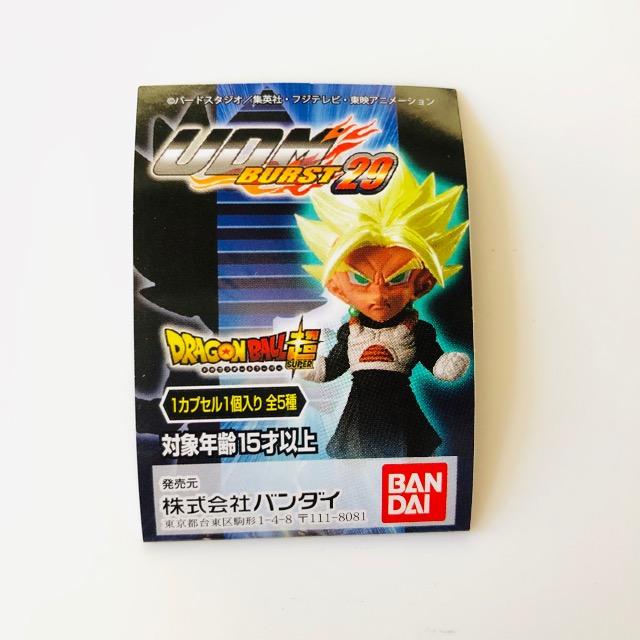 hS{[ UDM BURST29 SSGSSxW[^  Aj/R~bN/LN^[ 