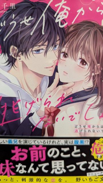 どうせ俺からは逃げられないでしょ★菜島千里★野いちご文庫 < 本/雑誌 どうせ俺からは逃げられないでしょ★菜島千里★野いちご文庫 < 本/雑誌の