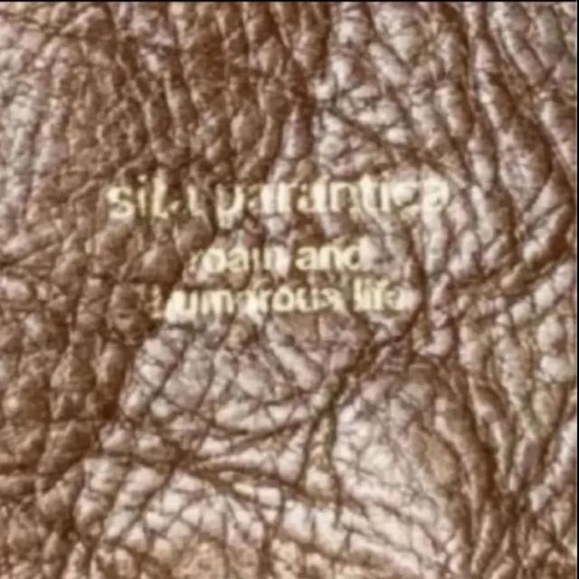 SITA PARANTICA レザートートバッグ L 希少ブラウン シータパランティカ バッグ 旅行バッグ ハンドバッグ ボストン < 女性ファッション SITA PARANTICA レザートートバッグ L 希少ブラウン シータパランティカ バッグ 旅行バッグ ハンドバッグ ボストン < 女性ファッションの