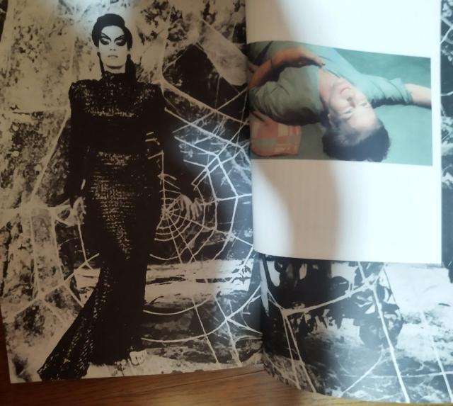 「蜘蛛女のキス 」ウィリアム・ハート  映画パンフレット 松任谷由実 萩尾望都 < ホビー  「蜘蛛女のキス 」ウィリアム・ハート  映画パンフレット 松任谷由実 萩尾望都 < ホビーの