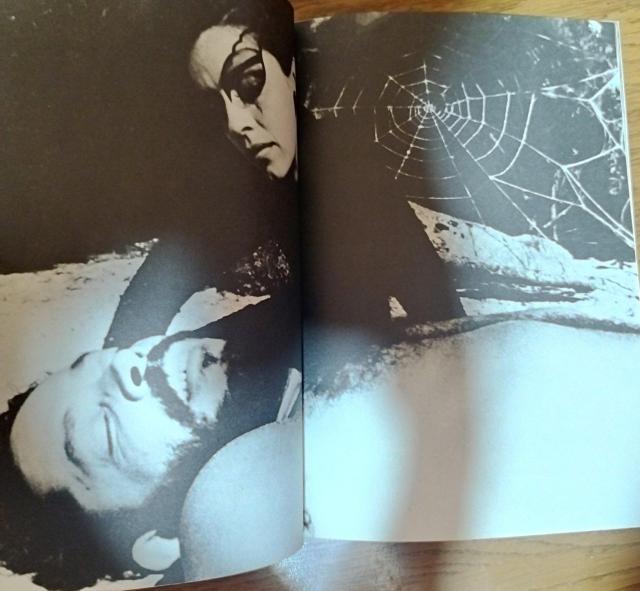 「蜘蛛女のキス 」ウィリアム・ハート  映画パンフレット 松任谷由実 萩尾望都 < ホビー  「蜘蛛女のキス 」ウィリアム・ハート  映画パンフレット 松任谷由実 萩尾望都 < ホビーの